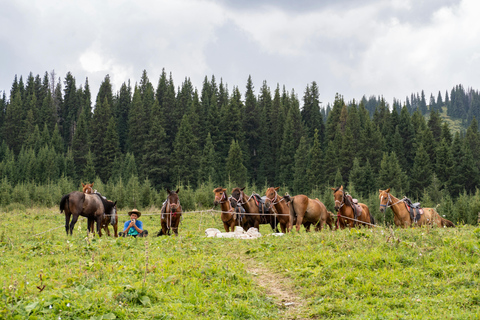 Sörenberg: Horseback Riding Tour with Campfire Lunch