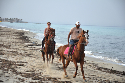 DJERBA : Randonnée à cheval privée (2h).