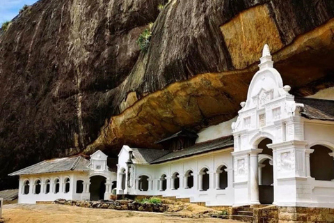 From Dambulla: Cave Temple & Kaudulla National Park Safari