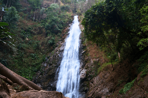 Chiang Mai: Chiang Rai &amp; Doi Mae Salong Theeplantage Tour