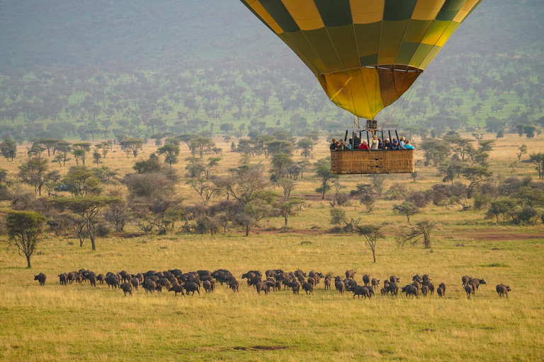 Desde Zanzíbar: safari en avión de 3 días al Serengeti y Ngorongoro