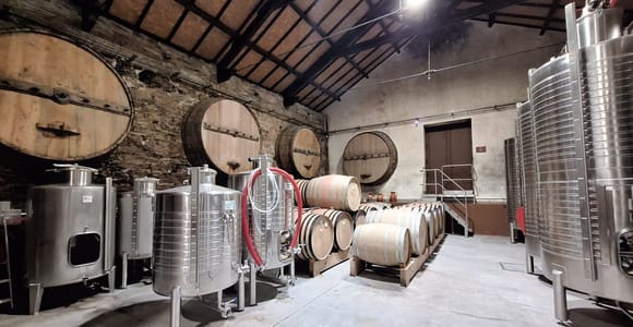 Private Douro-Wundererlebnis – ikonische Landschaft