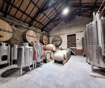 Valle del Duero: Tour Privado del Vino con 3 Visitas a Bodegas