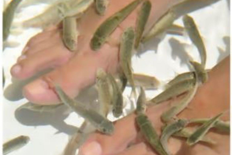 Privado: spa flutuante no oceano só para adultos, com massagem e iogaPrivado: Spa flutuante no oceano só para adultos com massagem e ioga