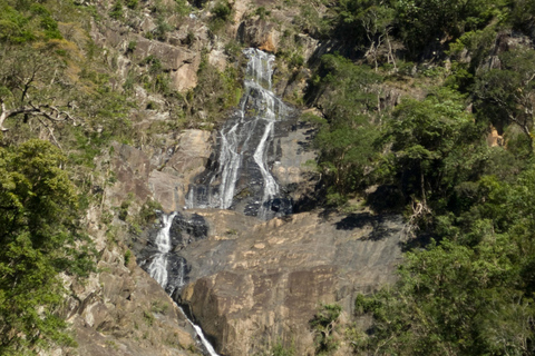 Cairns: Half-Day Premium 4WD Rainforest & Waterfall Tour Half Day Tour