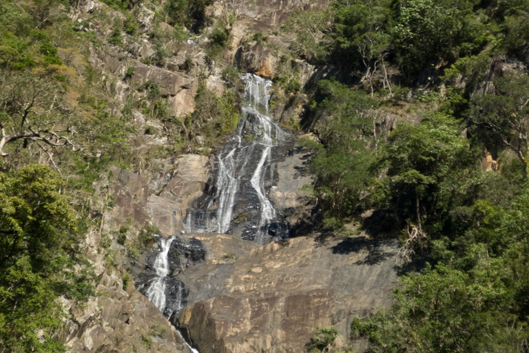 Cairns: Half-Day Premium 4WD Rainforest & Waterfall Tour Half Day Tour