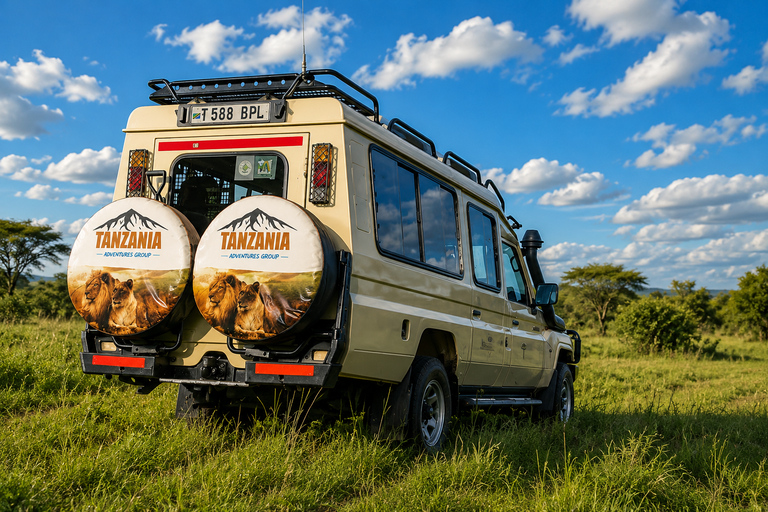 From Moshi: Materuni Waterfalls & Coffee Tour with Lunch