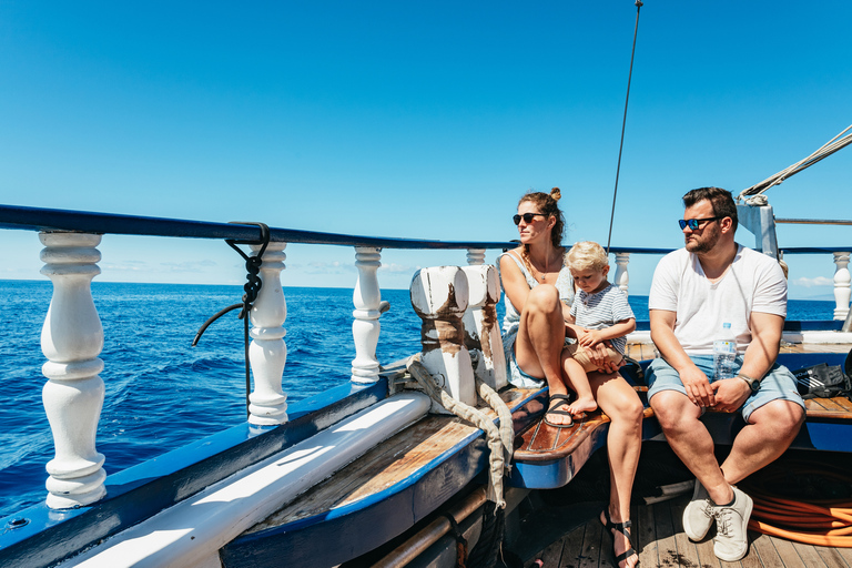 Los Cristianos: crucero sin persecuciones de ballenas y delfines