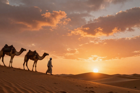 From Djerba: Guided Visit of Tataouine and Chenini with Sunset From Djerba: Guided tour of Tataouine and Chenini with sunset