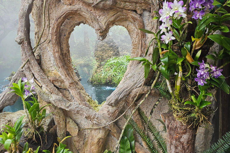 Chiangmai : Sticky waterfall & Land of angels & Wat ban den.