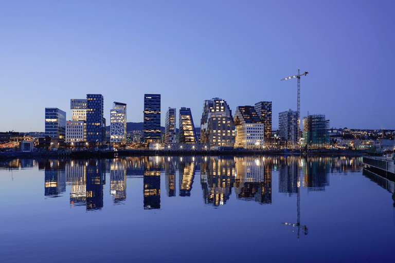 Oslo: Skyline in Winter With Fish Soup CruiseOslo Skyline in Winter With Fish Soup Cruise