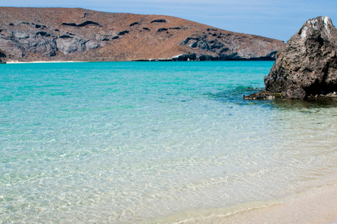 From Los Cabos: La Paz, Balandra & Todos Santos Excursion