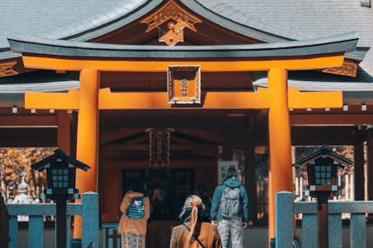 Mount Fuji Full Day Private Customizable Tour with Guide