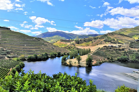 Porto: Private Tour durch das Douro-Tal mit Portweinverkostung und Mittagessen