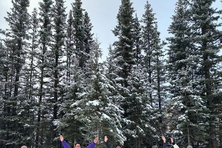 Tour privato Banff Explorer al Moraine Lake e al Lake LouiseTour privato Banff Explorer™ con Moraine Lake e Lake Louise