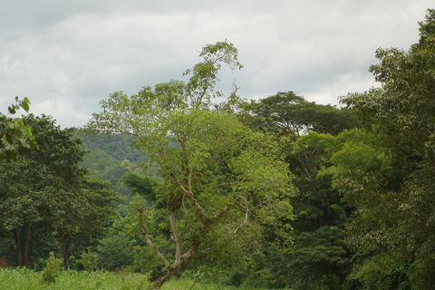 Chiang Mai: ATV Adventure 2-Hrs,Feeding,Rafting & Lunch Trip 2 Hrs. Double ATV Adventure, Bamboo Rafting& Lunch Trip