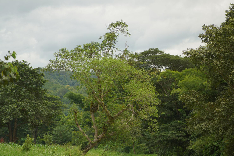 Chiang Mai: ATV Adventure 2-Hrs,Feeding,Rafting & Lunch Trip 2 Hrs. Double ATV Adventure, Bamboo Rafting& Lunch Trip