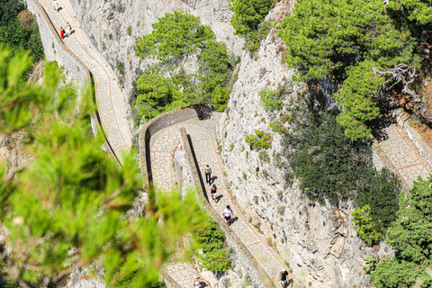 从那不勒斯出发：卡普里岛和阿纳卡普里岛蓝色洞穴导览游卡普里岛法语之旅