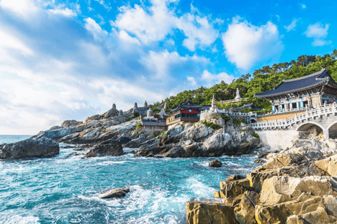 Busan Full-Day Private Customizable Tour