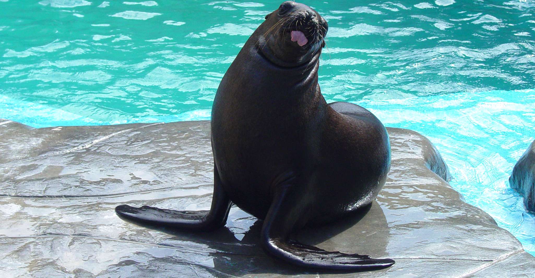 Puerto Plata, Ocean World Adventure Park Day Pass - Hizvo
