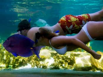 Puerto Plata: Pase de un día para el Parque de Aventuras Ocean World