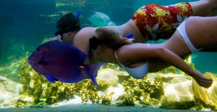 Puerto Plata: Ocean World Adventure Park Day Pass