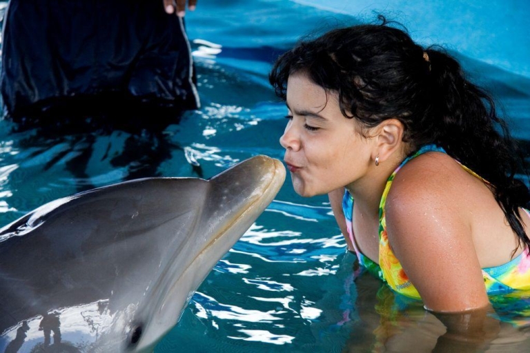 Dolphin Encounter w Ocean World, Puerto Platastandard Opcja