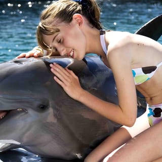 Dolphin Encounter at Ocean World, Puerto Plata
