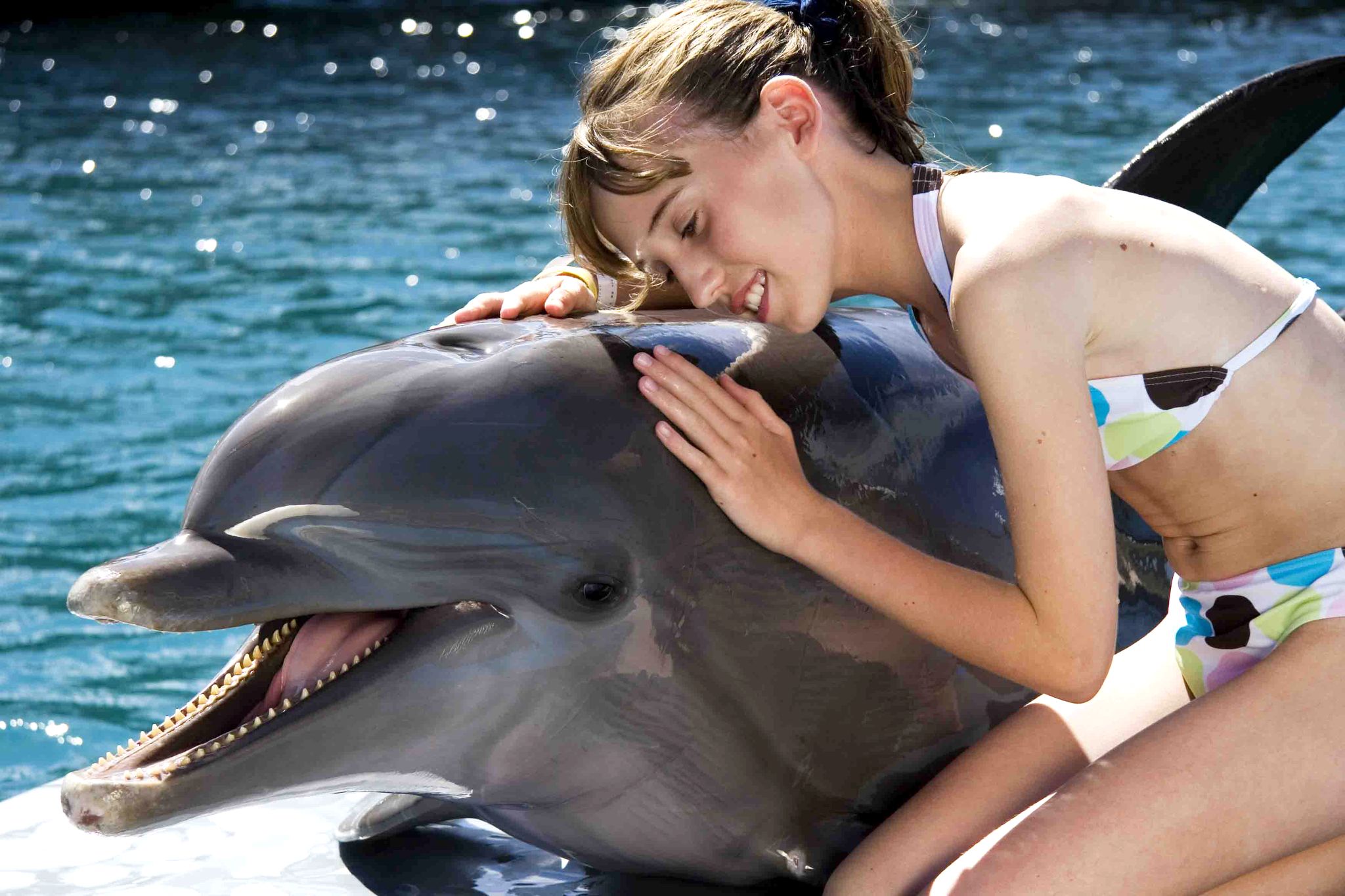 Puerto Plata: Delfinbegegnung im Ocean World