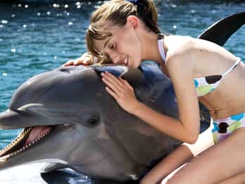 Puerto Plata: Encuentro con delfines en Ocean World