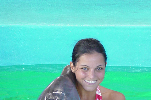 Encontro com golfinhos no Ocean World, Puerto PlataOpção Padrão