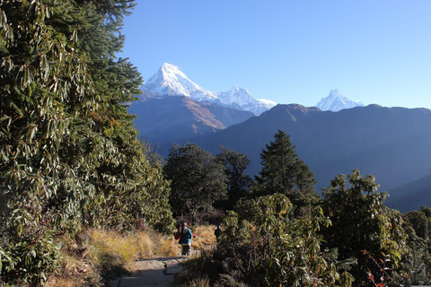 From Kathmandu: Langtang Valley Trek with Transfers