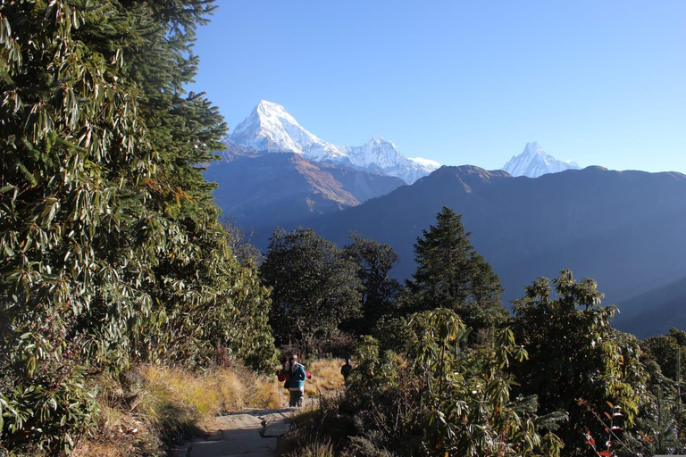 From Kathmandu: Langtang Valley Trek with Transfers