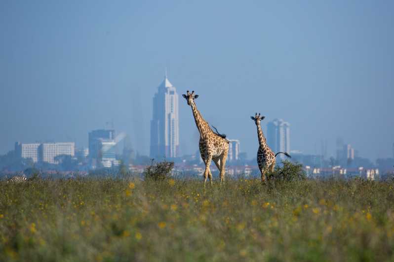 Nairobi: National Park, Elephant Orphanage & Giraffe Centre