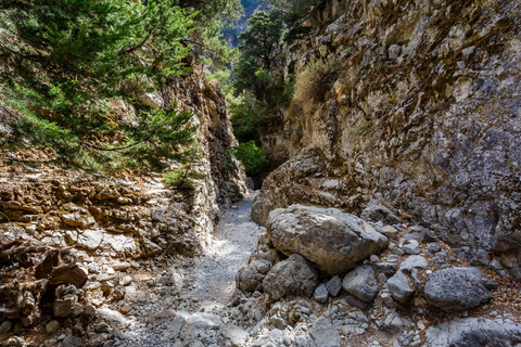 Ab Chania: Imbros-Schlucht und Sfakia-Wanderung und Badetag Tour