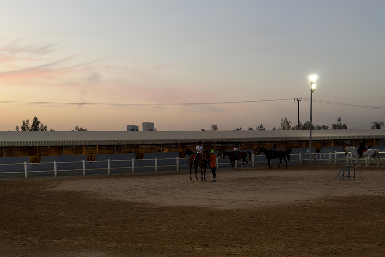 Dubai: Desert Horse Riding Experience at JSR Equestrian Club Shared Group Horse Riding - 1 Hr