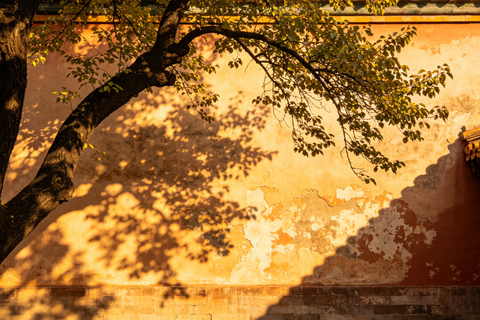 2-Hour Forbidden City Tour History & HighlightsPrivate/Group Package 2: 2-Hour Private Forbidden City Tour