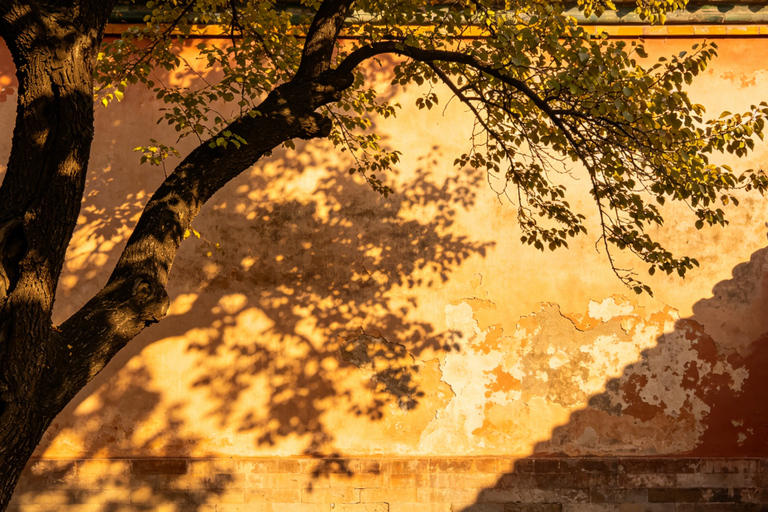 2-Hour Forbidden City Tour History & HighlightsPrivate/Group Package 2: 2-Hour Private Forbidden City Tour