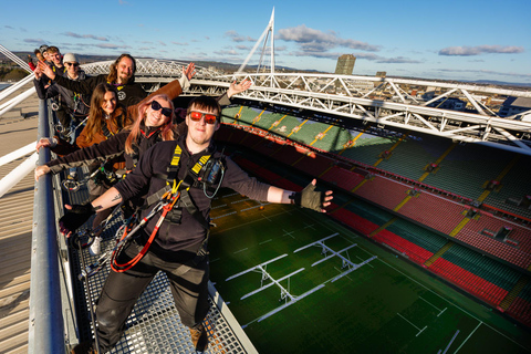 Cardiff: Principality Stadium Roof Walk Adult or Child