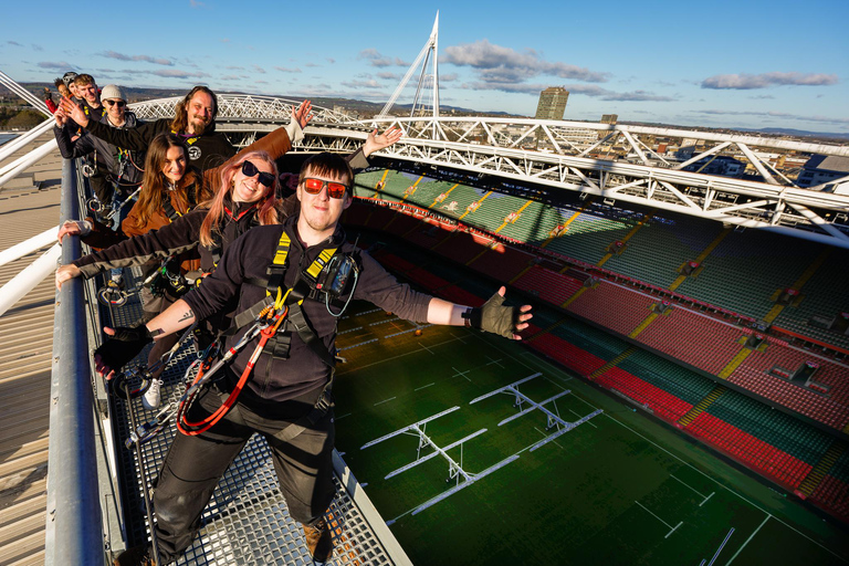 Cardiff: Principality Stadium Roof Walk Adult or Child