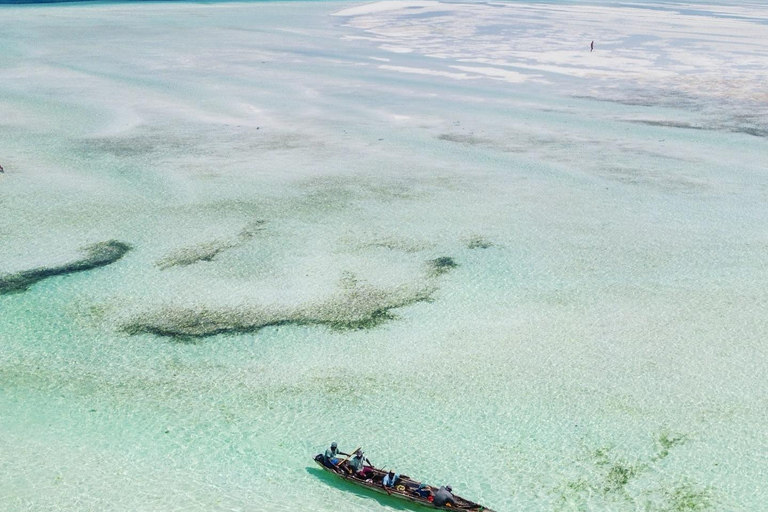 Sansibar: Blaue Lagune, Seesterne, Paje Strand und Maalum HöhleSansibar: Blaue Lagune, Seesterne, Jambiani und Maalum-Höhle