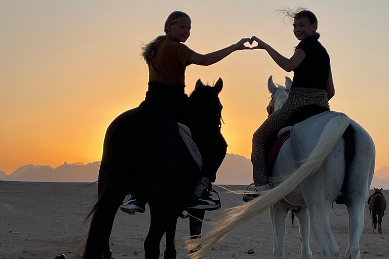 Soma Bay: Reittour mit HoteltransferSoma Bay: Reittour ohne Hoteltransfer