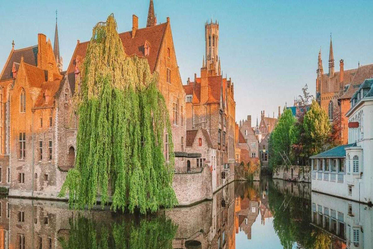 Private Guided tour Ghent and Bruges From Brussels