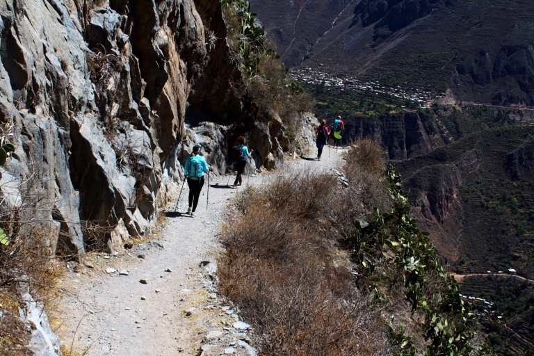 Von Arequipa: Trekking zum Colca Canyon |2Tage-1Nacht|