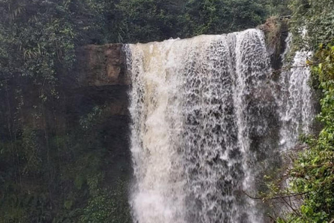 Nairobi: Purple Tea Farm Tour & Tasting Daytrip