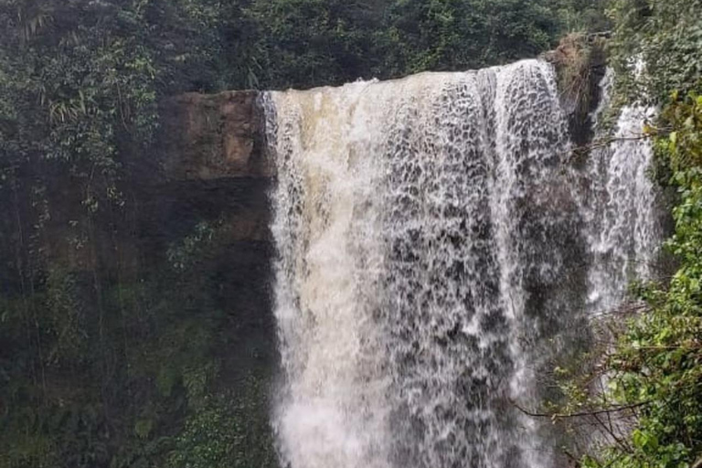 Nairobi: Purple Tea Farm Tour & Tasting Daytrip