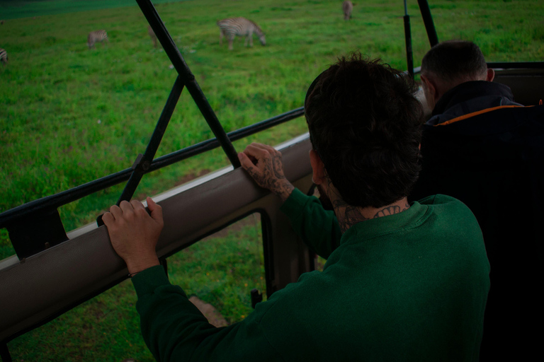 Tanzania: 2-Day Budget Safari to Tarangire and Ngorongoro