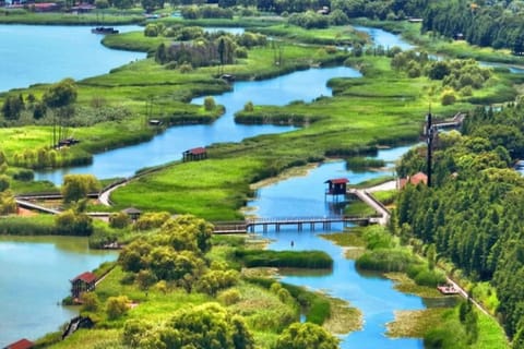Shanghai: Xuanshan Island Sea Views Private Day Trip