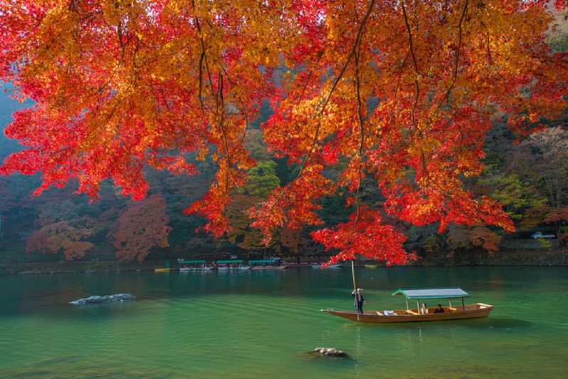 Osaka: Kyoto Arashiyama,Sanzen-in,Bamboo Grove,Autumn maples