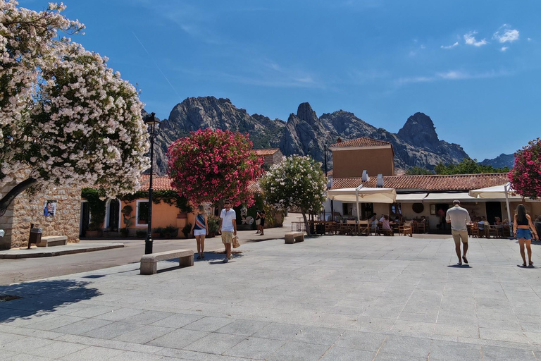 Costa Smeralda: Quad tour with views, the sea and adrenaline. Basic Quad Tour (2 people per quad)